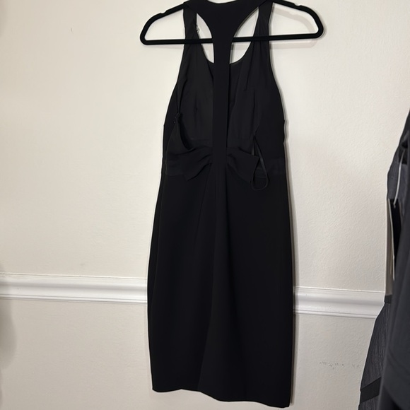 Karl Lagerfeld Small. This dress is beautiful - Picture 5 of 7